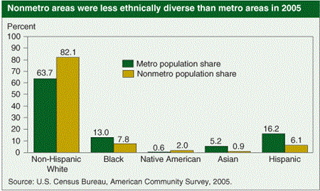 Nonmetro areas were less ethnically diverse than metro areas in 2005