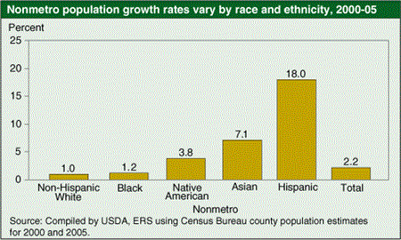 Nonmetro population growth rates vary by race and ethnicity, 2000-05