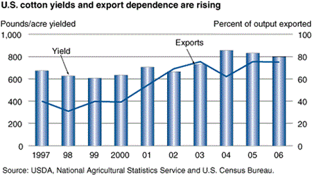 U.S. cotton yields and export dependence are rising