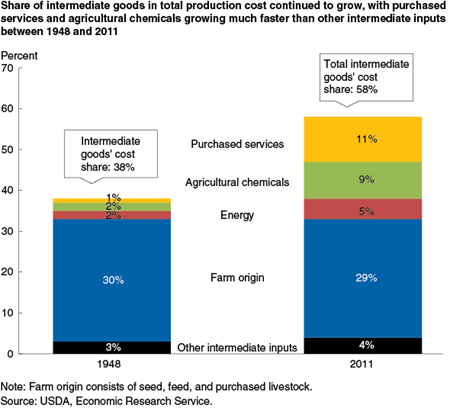 Share of intermediate goods in total production cost continued to grow, with purchased services and agricultural chemicals growing much faster than other intermediate inputs between 1948 and 2011