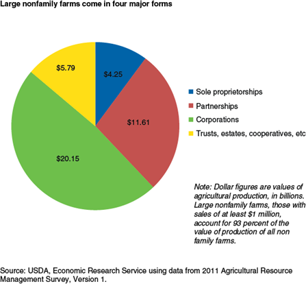 Large nonfamily farms come in four major forms
