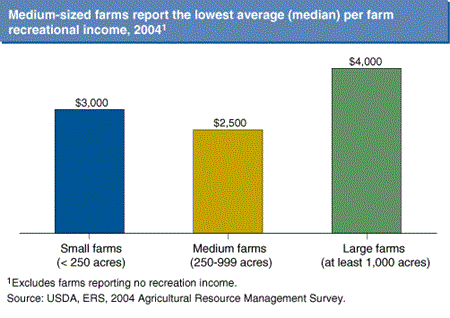 Medium-sized farms report the lowest average (median) per farm recreational income, 2004
