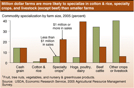 Million-dollar farms are more likely to specialize in cotton & rice, specialty crops, and livestock (except beef) than smaller farms