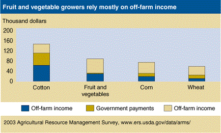 Fruit and vegetable growers rely mostly on off-farm income