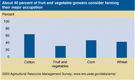About 40 percent of fruit and vegetable growers consider farming  their major occupation