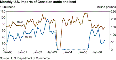 Monthly U.S. imports of Canadian cattle and beef