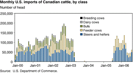 Monthly U.S. imports of Canadian cattle, by class