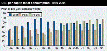 U.S. per capita meat consumption, 1950-2004