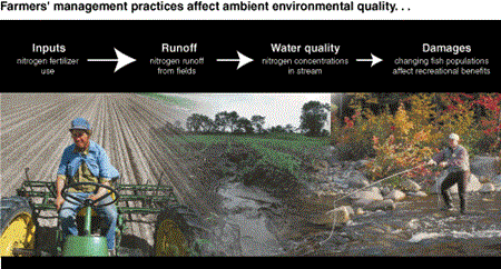 Farmers' management practices affect ambient environment quality...