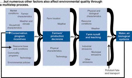 ...but numerous other factors also affect environmental quality through a multistep process.