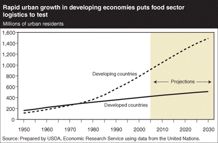Rapid urban growth in developing economies puts food sector logistics to test