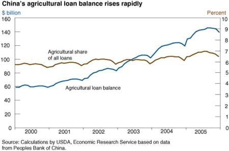 China's agricultural loan balance rises rapidly