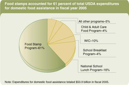 Food stamps accounted for 61 percent of total USDA expenditures for domestic food assistance in fiscal year 2005