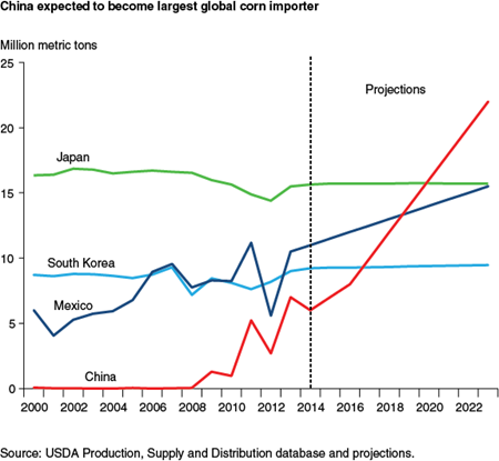 China expected to become largest global corn importer