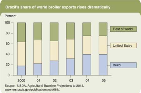 Brazil's share of world broiler exports rises dramatically