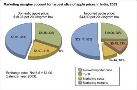 Marketing margins account for largest slice of apple prices in India, 2003