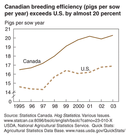 Line chart: Canadian breeding efficiency (pigs per sow per year) exceeds U.S. by almost 20 percent