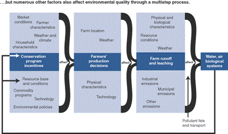 ...but numerous other factors also affect environmental quality through a multistep process.