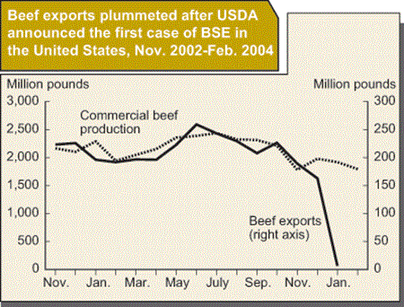 Beef exports plummeted after USDA announced the first case of BSE in the United States, Nov. 2002-Feb. 2004