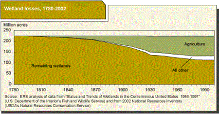 wetland losses, 1780-2002