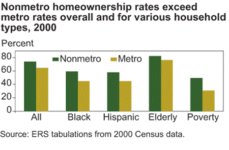 Nonmetro homeownership rates exceed metro rates overall and for various household types, 2000