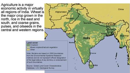land cover characteristics in India