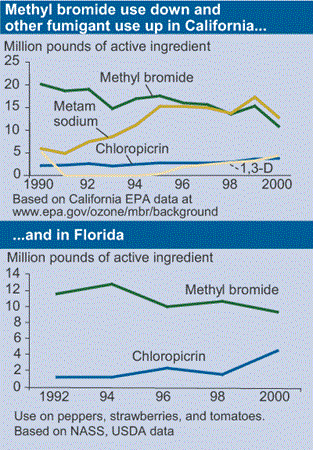 Methyl bromide use down and other fumigant use up in California...and in Florida