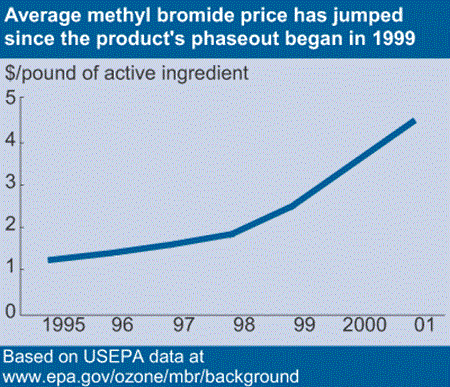 Average methyl bromide price has jumped since the product's phaseout began in 1999