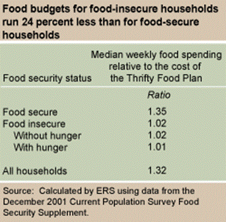 Food budgets for food-insecure households run 24-percent less than for non-food insecure households
