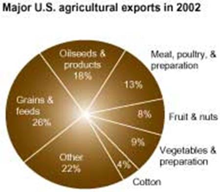 Major U.S. agricultural exports in 2002