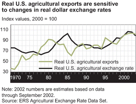A line chart showing real U.S. agricultural exports are sensitive to changes in real dollar exchange rates