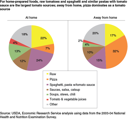 For home prepared foods, raw tomatoes and spaghetti and similar pastas with tomato sauce are the largest tomato sources; away from home, pizza dominates as a tomato source