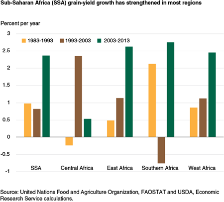 Sub-Saharan Africa (SSA) grain yield growth has strengthened in most regions