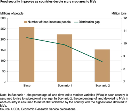 Food security improves as countries devote more crop area to MVs