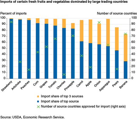 Imports of certain fresh fruits and vegetables dominated by large trading countries