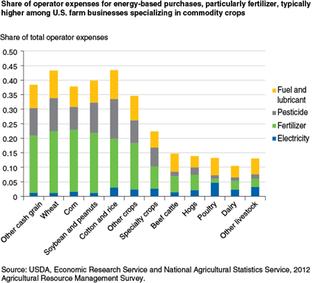 Share of operator expenses for energy-based purchases, particularly fertilizer, typically higher among U.S. farm businesses specializing in commodity crops
