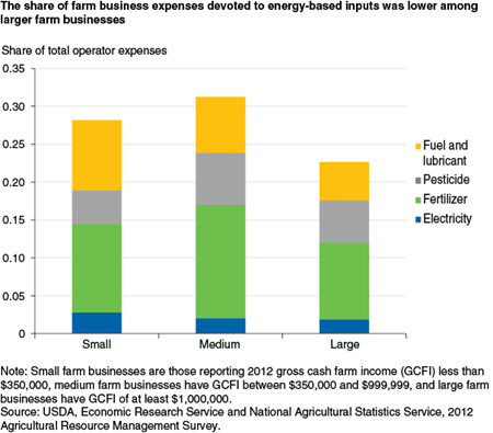 The share of farm business expenses devoted to energy-based inputs was lower among larger farm businesses