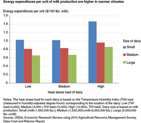 Energy expenditures per unit of milk production are higher in warmer climates