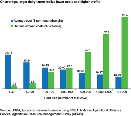 On average, larger dairy farms realize lower costs and higher profits