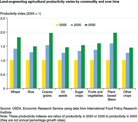 Land-augmenting agricultural productivity varies by commodity and over time