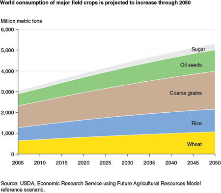World consumption of major field crops is projected to increase through 2050