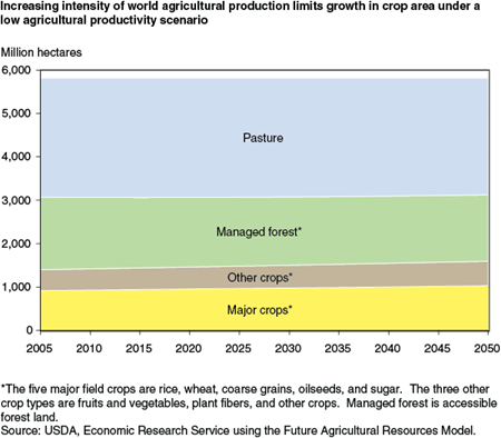 Increasing intensity of world agricultural production limits growth in crop area under a low agricultural productivity scenario