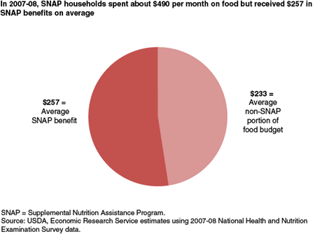In 2007-08, SNAP households spent about $490 per month on food, but received $257 in SNAP benefits on average
