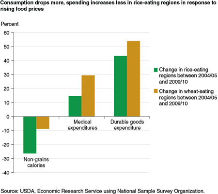 Consumption drops more, spending increases less in rice-eating regions in response to rising food prices