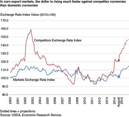 In corn export markets, the dollar is rising much faster against competitor currencies than domestic currencies