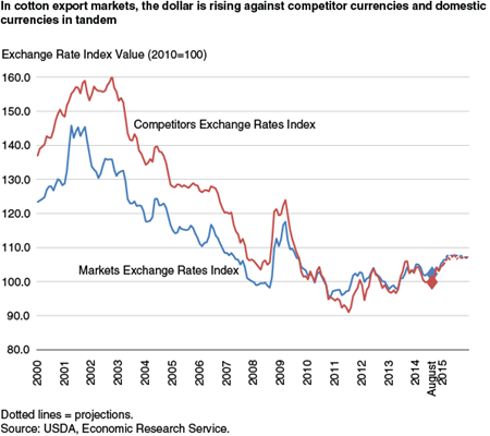 In cotton export markets the dollar is rising against competitor currencies and domestic currencies in tandem