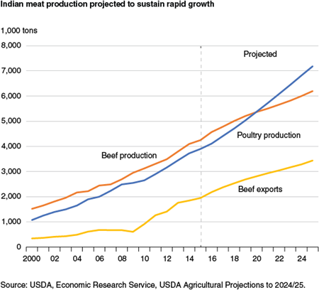 Indian meat production projected to sustain rapid growth