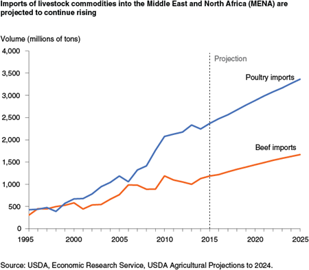 Imports of livestock commodities into the Middle East and North Africa (MENA) are projected to continue rising