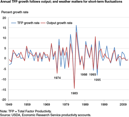Annual TFP growth follows output; and weather matters for short-term fluctuations