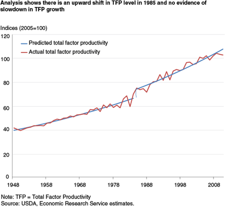 Analysis shows there is an upward shift in TFP level in 1985 and no evidence of slowdown in TFP growth